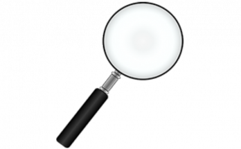 Citations During the COVID 19 Investigation